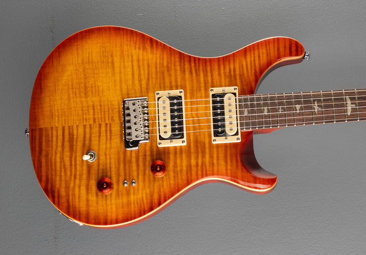 SE Custom 24-08 &