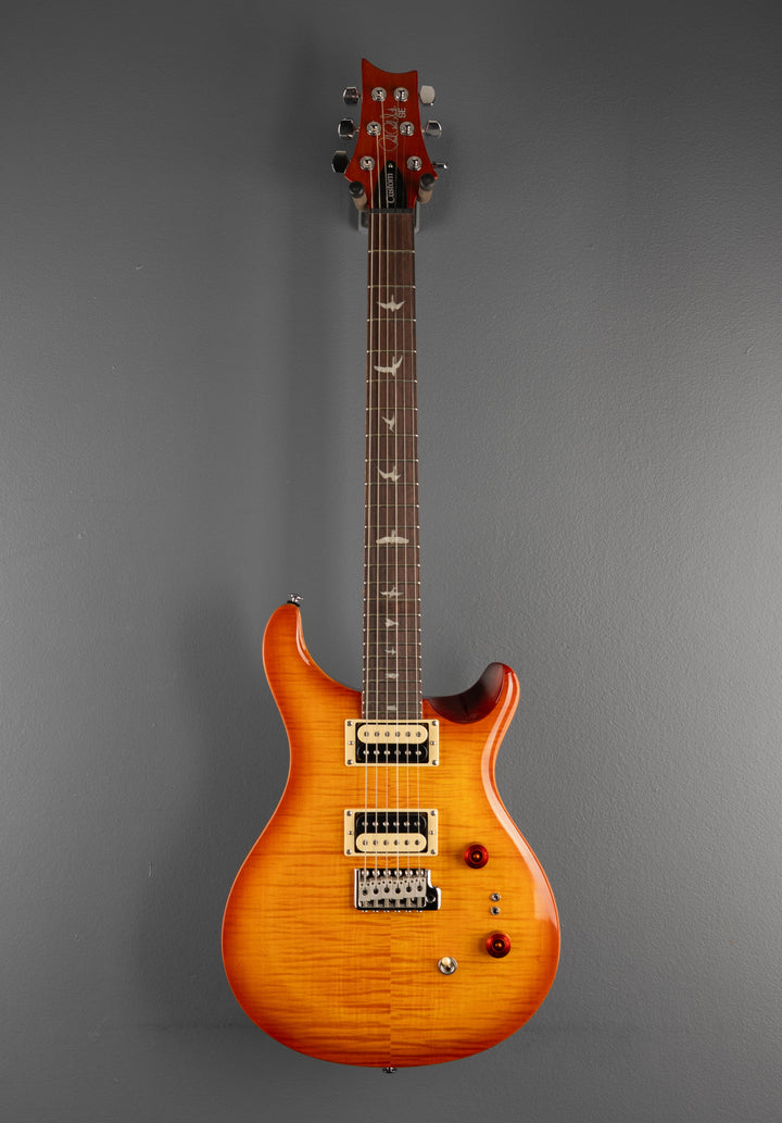 SE Custom 24-08 &