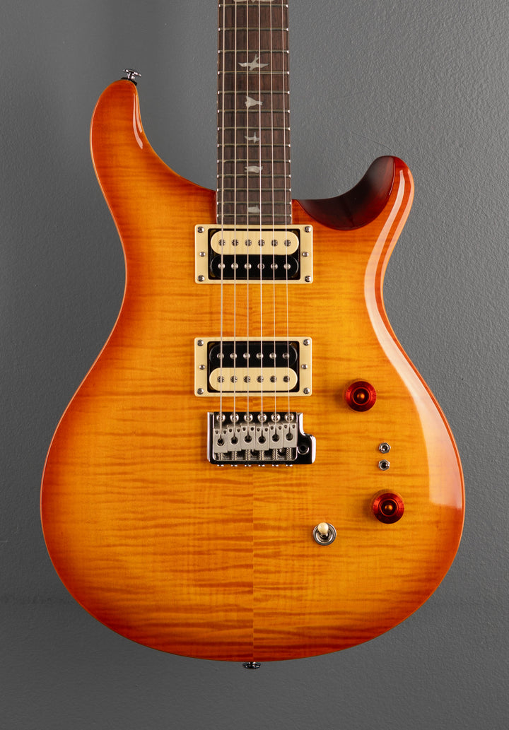 SE Custom 24-08 &