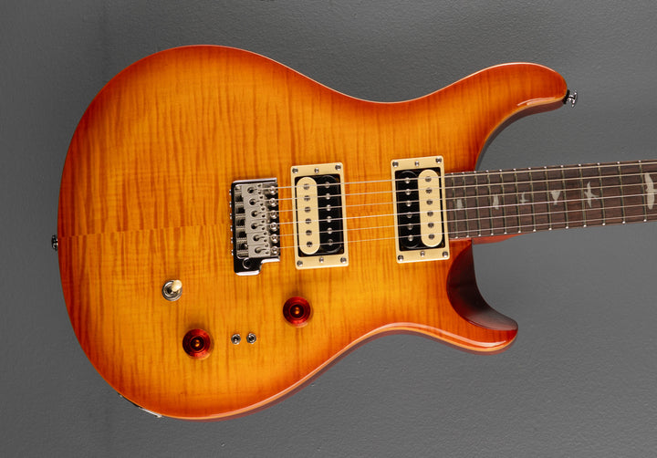 SE Custom 24-08 &