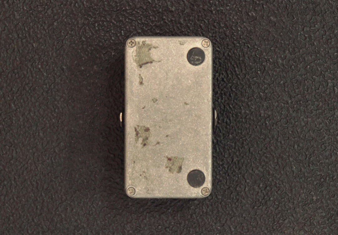 Screaming Bird, Recent