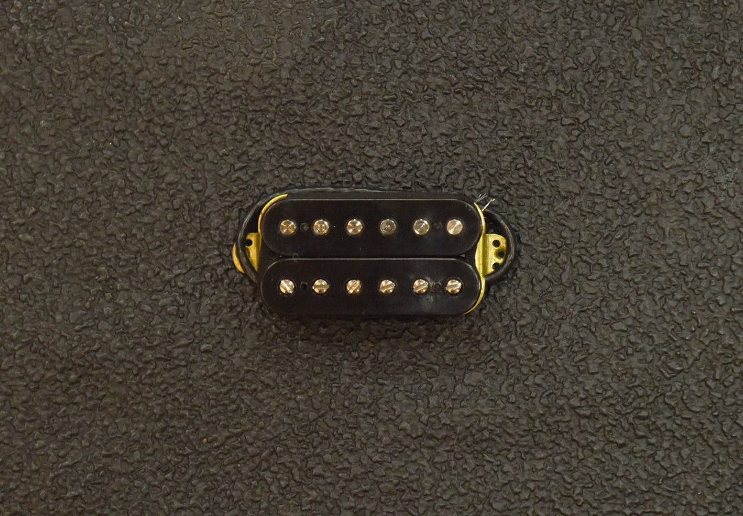Wolfgang Bridge Humbucker, Recent