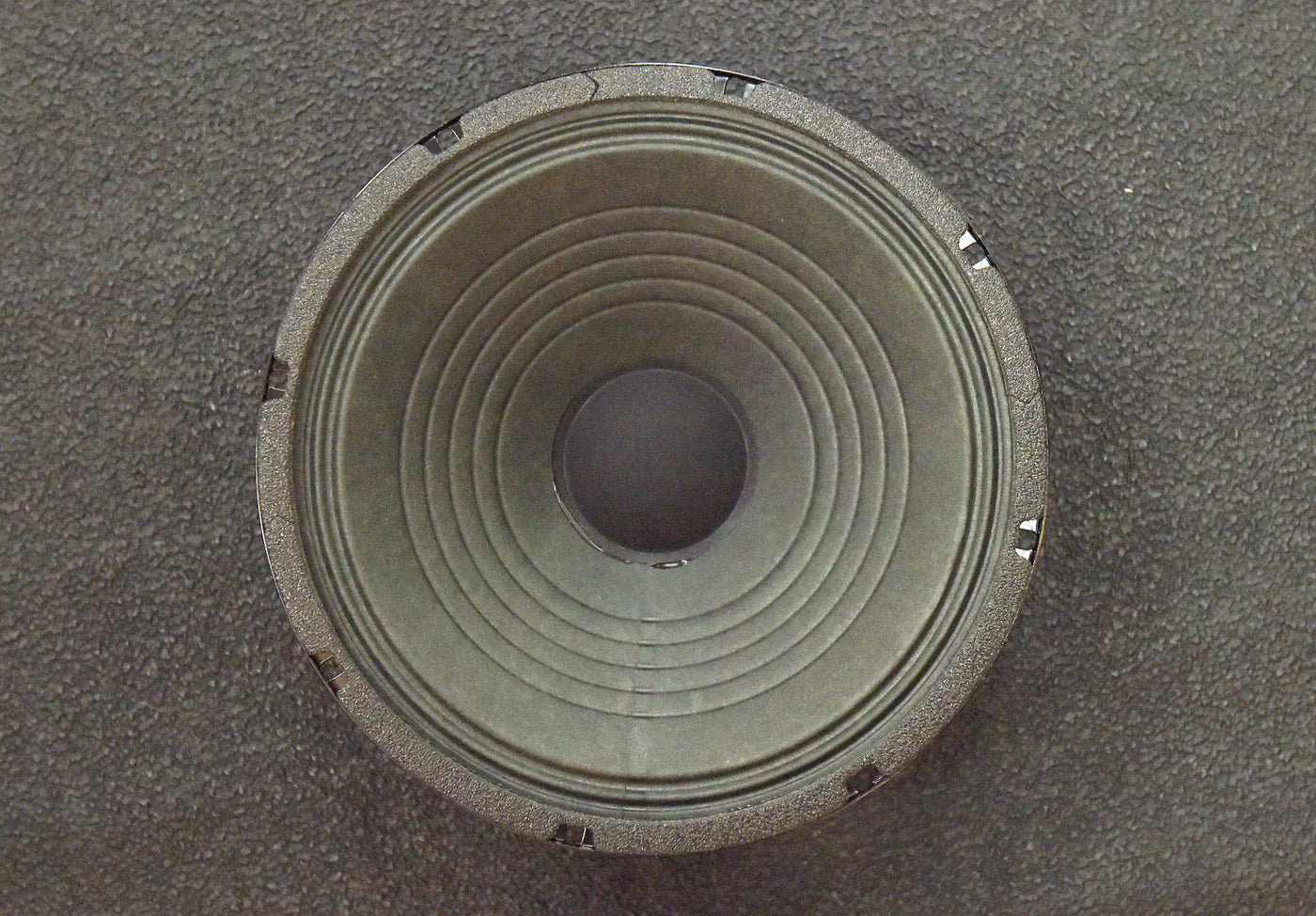 Copperhead 10" Speaker - 8 OHM, Recent
