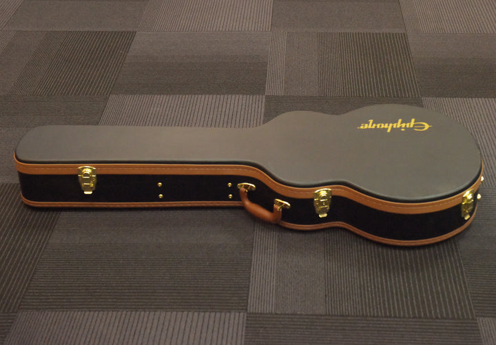 ES-335 Case, Recent