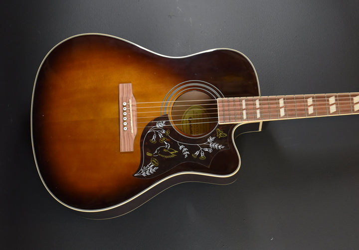 Hummingbird Performer Pro &