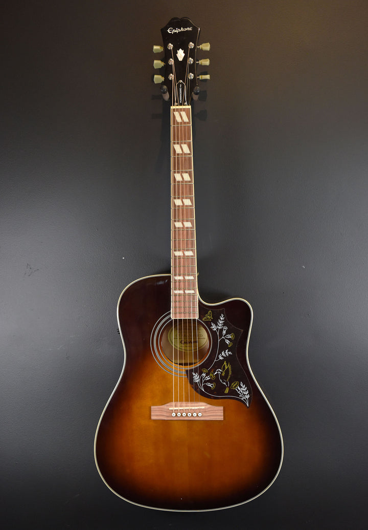 Hummingbird Performer Pro &