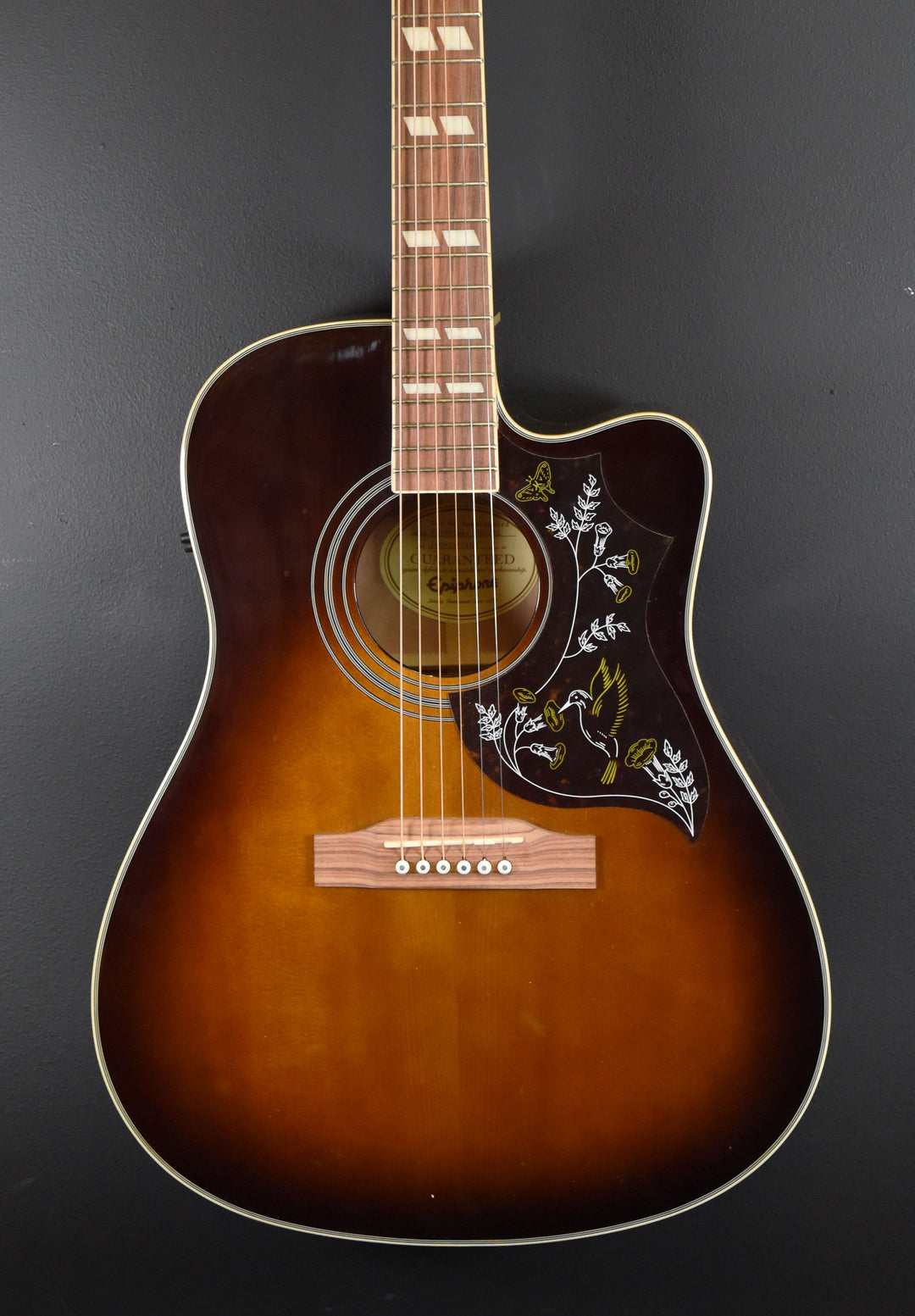 Hummingbird Performer Pro &