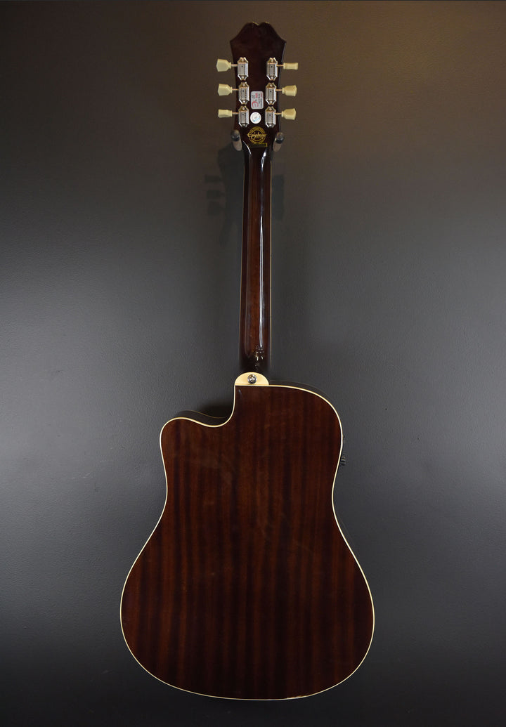 Hummingbird Performer Pro &