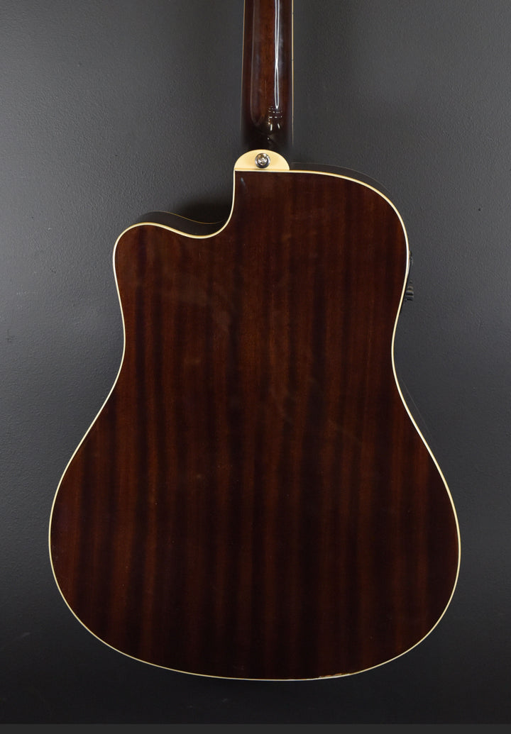Hummingbird Performer Pro &