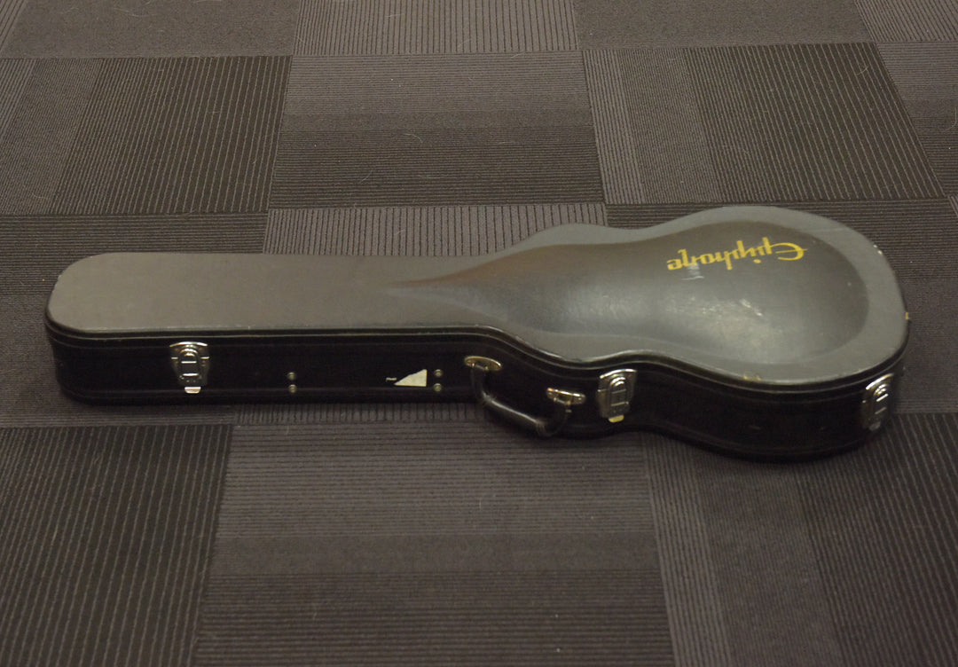 Les Paul Case, Recent