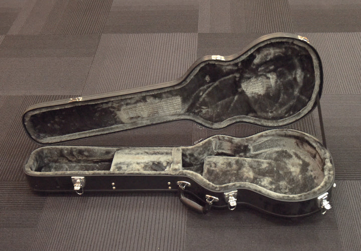Les Paul Case, Recent