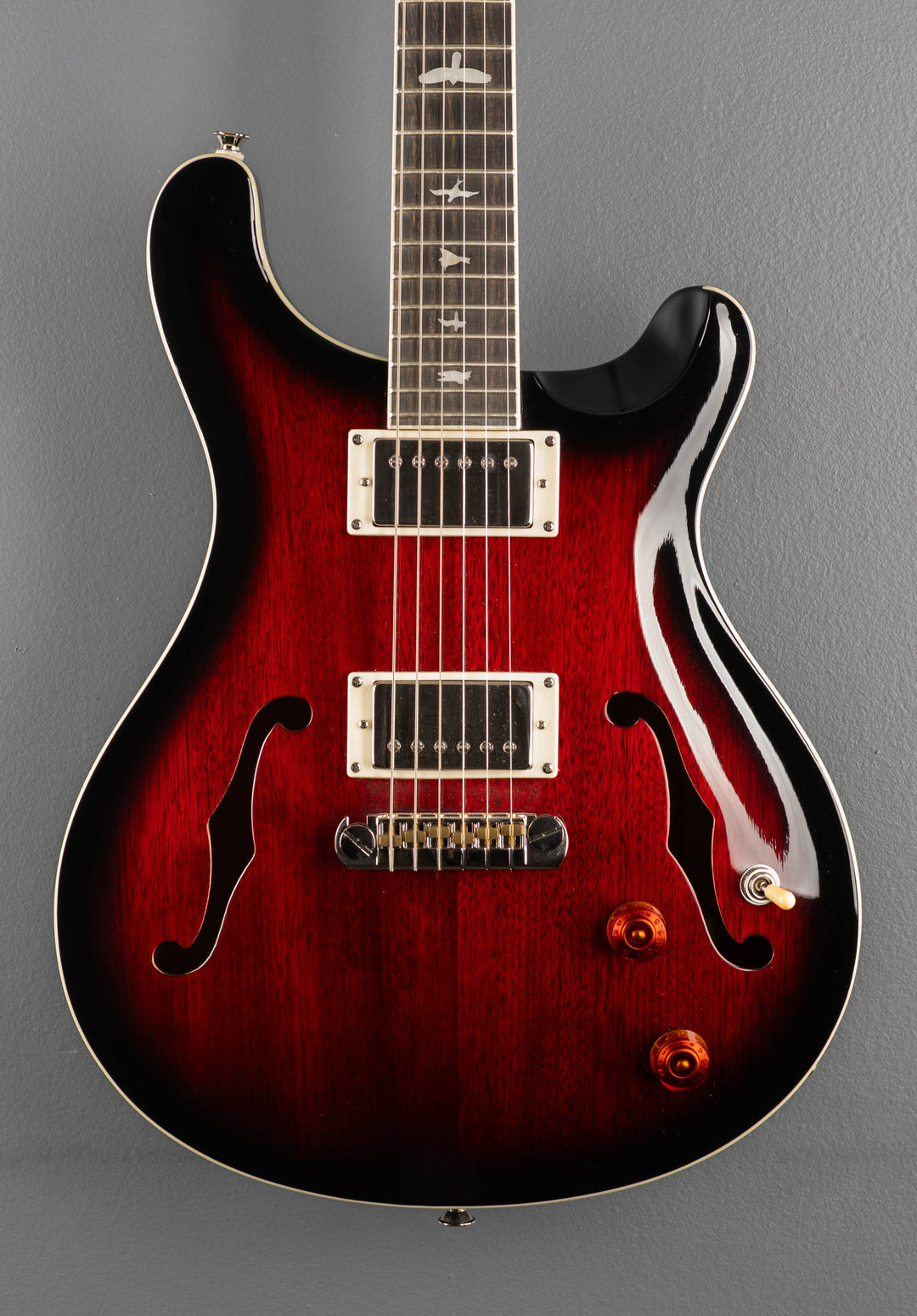 SE Hollowbody Standard &