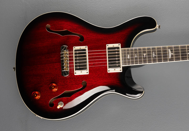 SE Hollowbody Standard &