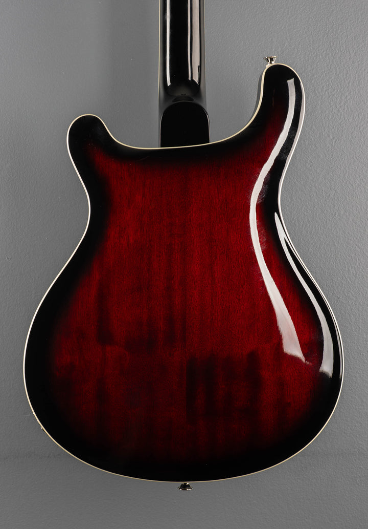 SE Hollowbody Standard &