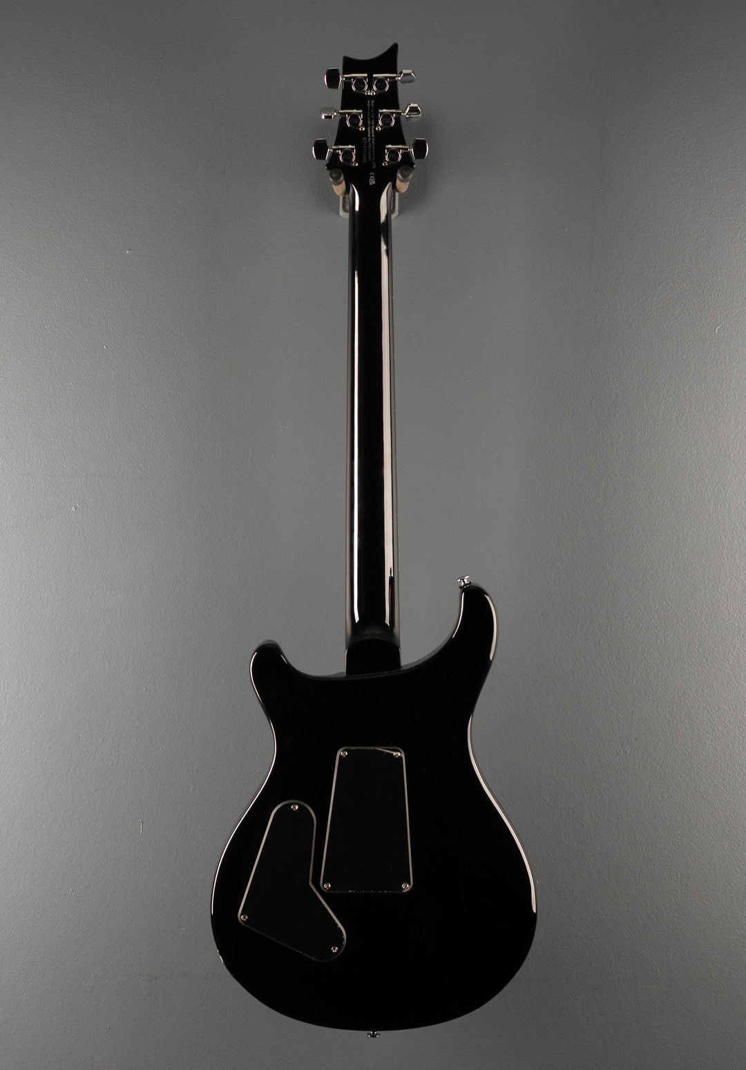 SE Custom 24 "Floyd" '23