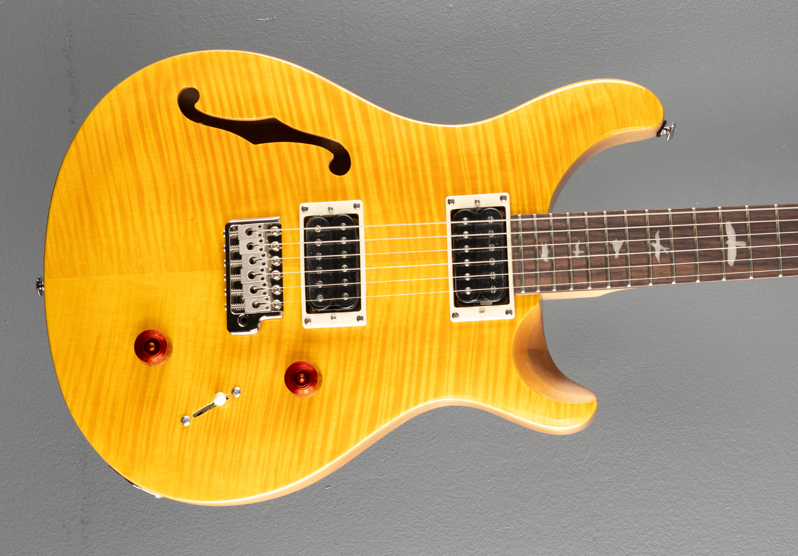 SE Custom 22 Semi-Hollow, '23 – Dave's Guitar Shop