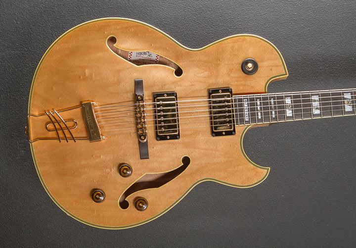 Pat Metheny PM-120 '04