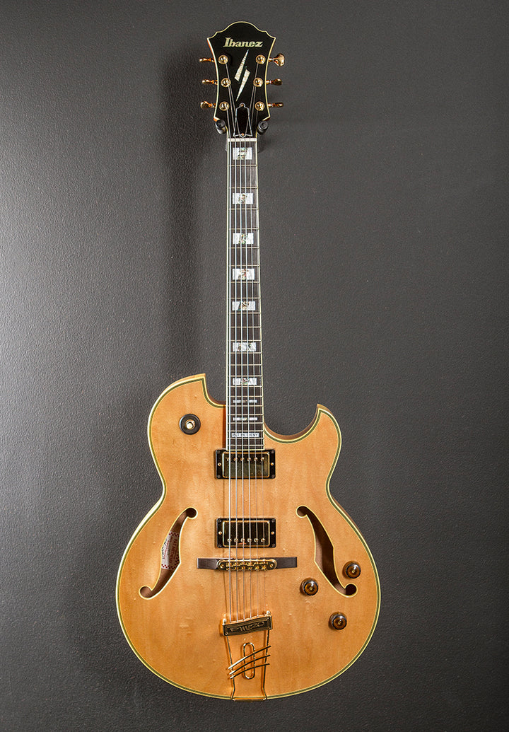 Pat Metheny PM-120 '04