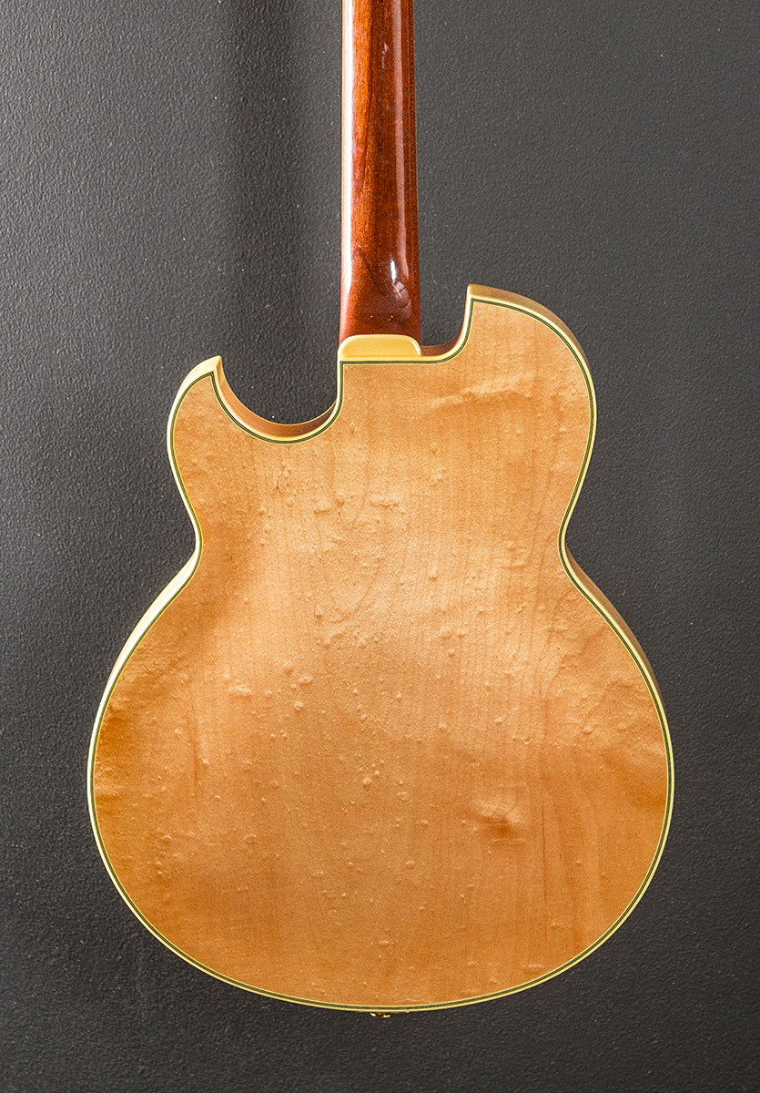 Pat Metheny PM-120 '04