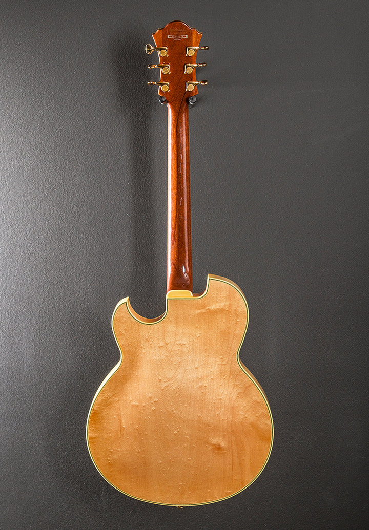 Pat Metheny PM-120 '04