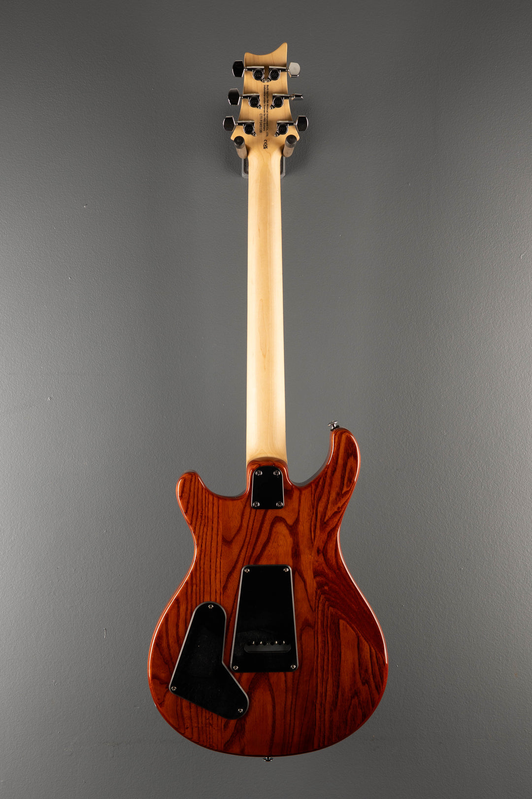 SE Swamp Ash Special '23