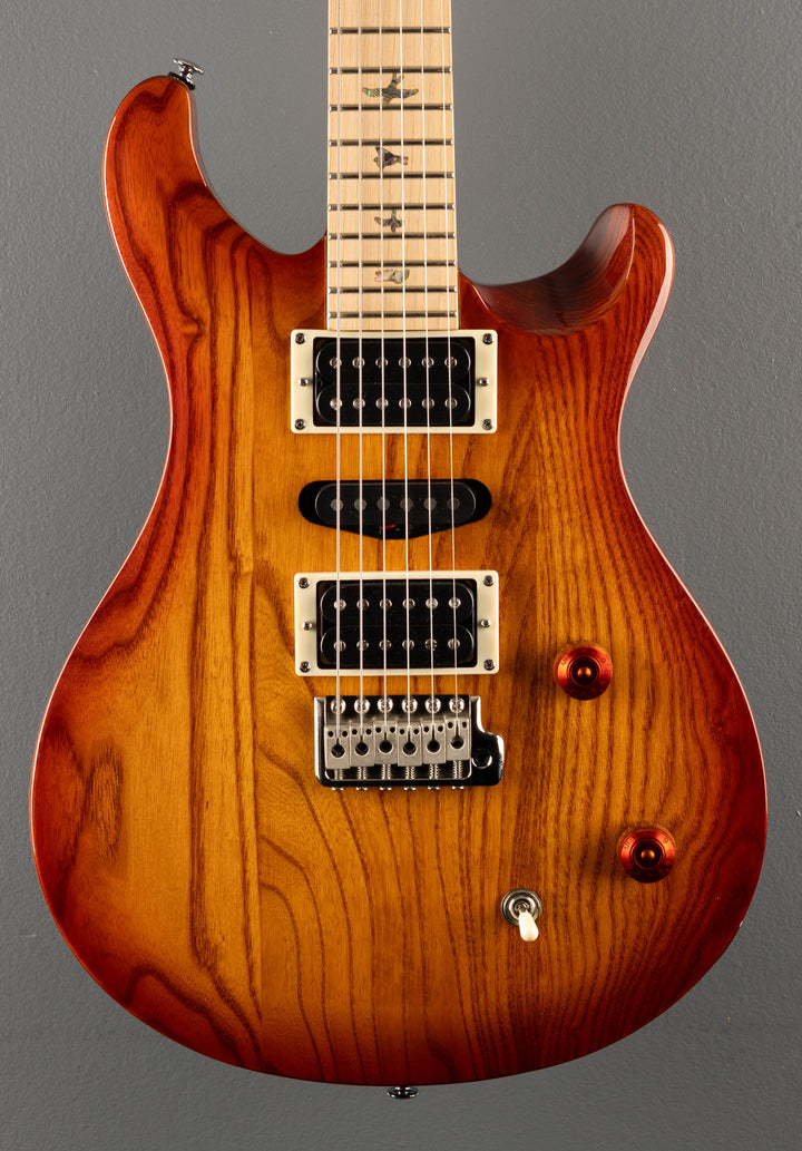 SE Swamp Ash Special '23
