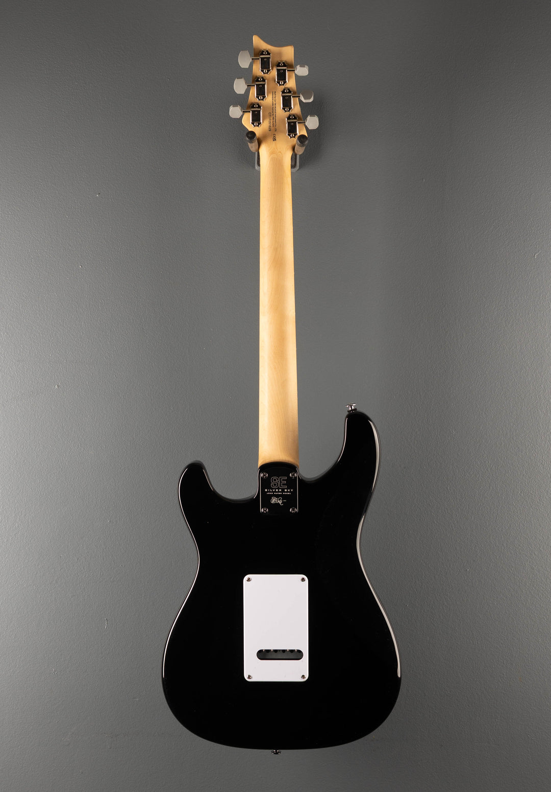 SE Silver Sky w/Rosewood '23