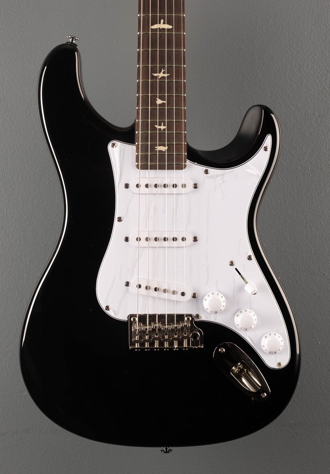 SE Silver Sky w/Rosewood '23