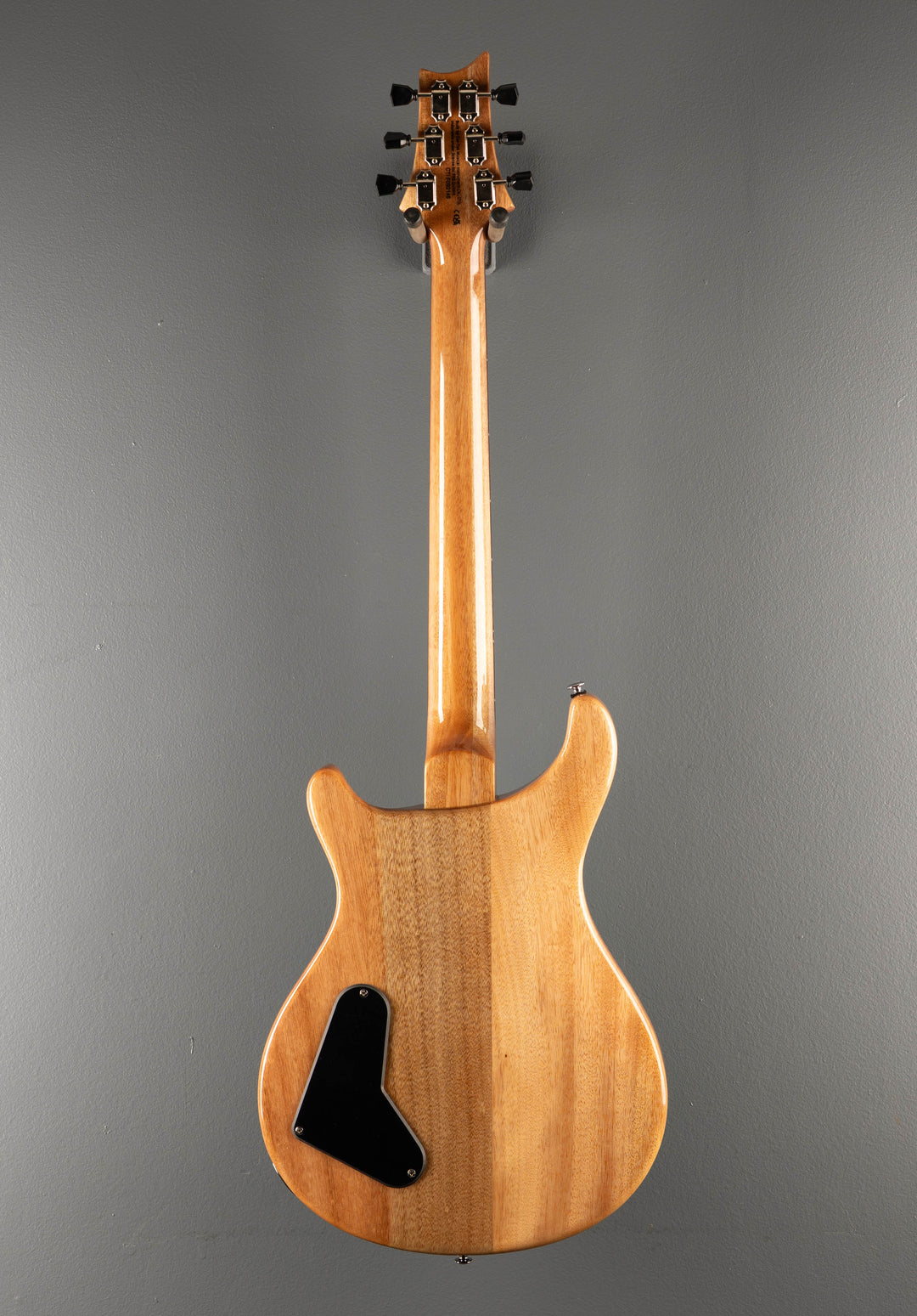 SE Paul's Guitar '23