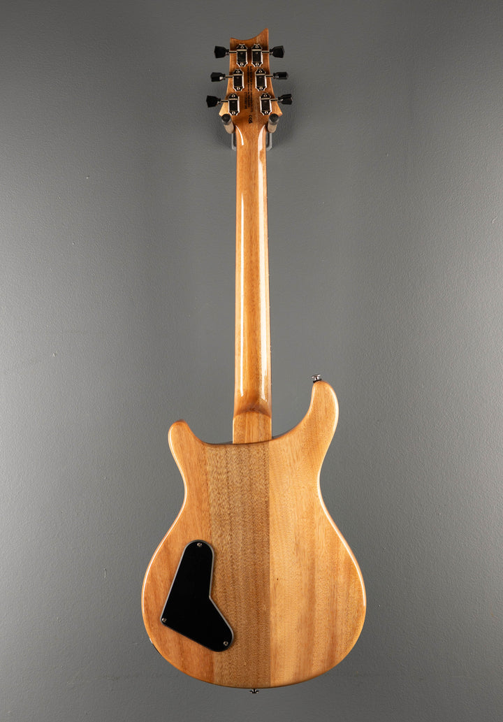 SE Paul's Guitar '23