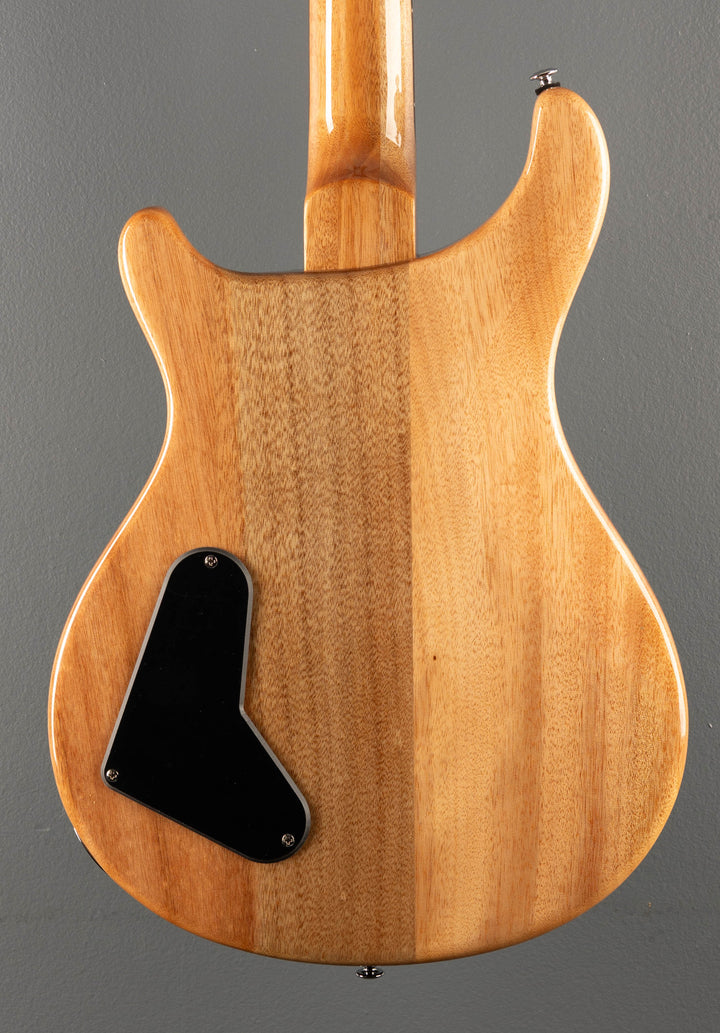 SE Paul's Guitar '23