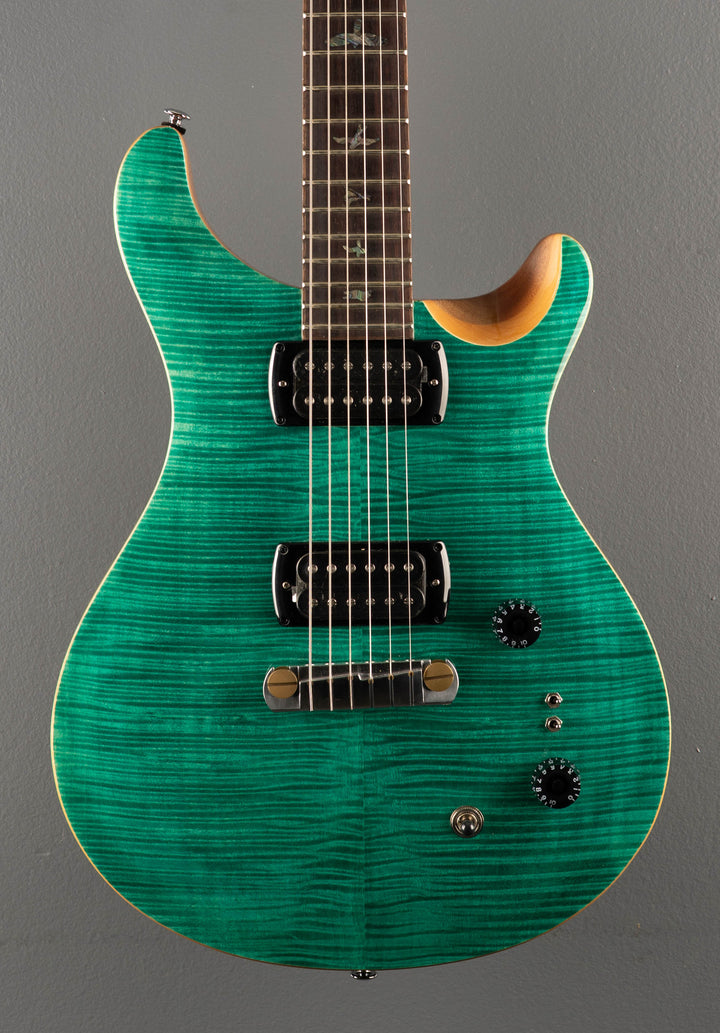 SE Paul's Guitar '23