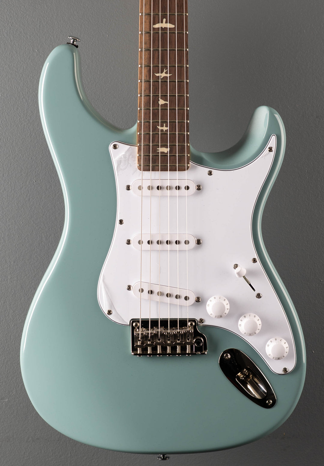 SE Silver Sky w/Rosewood, '23