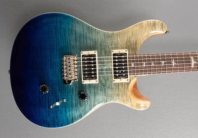 SE Custom 24  - Blue Fade