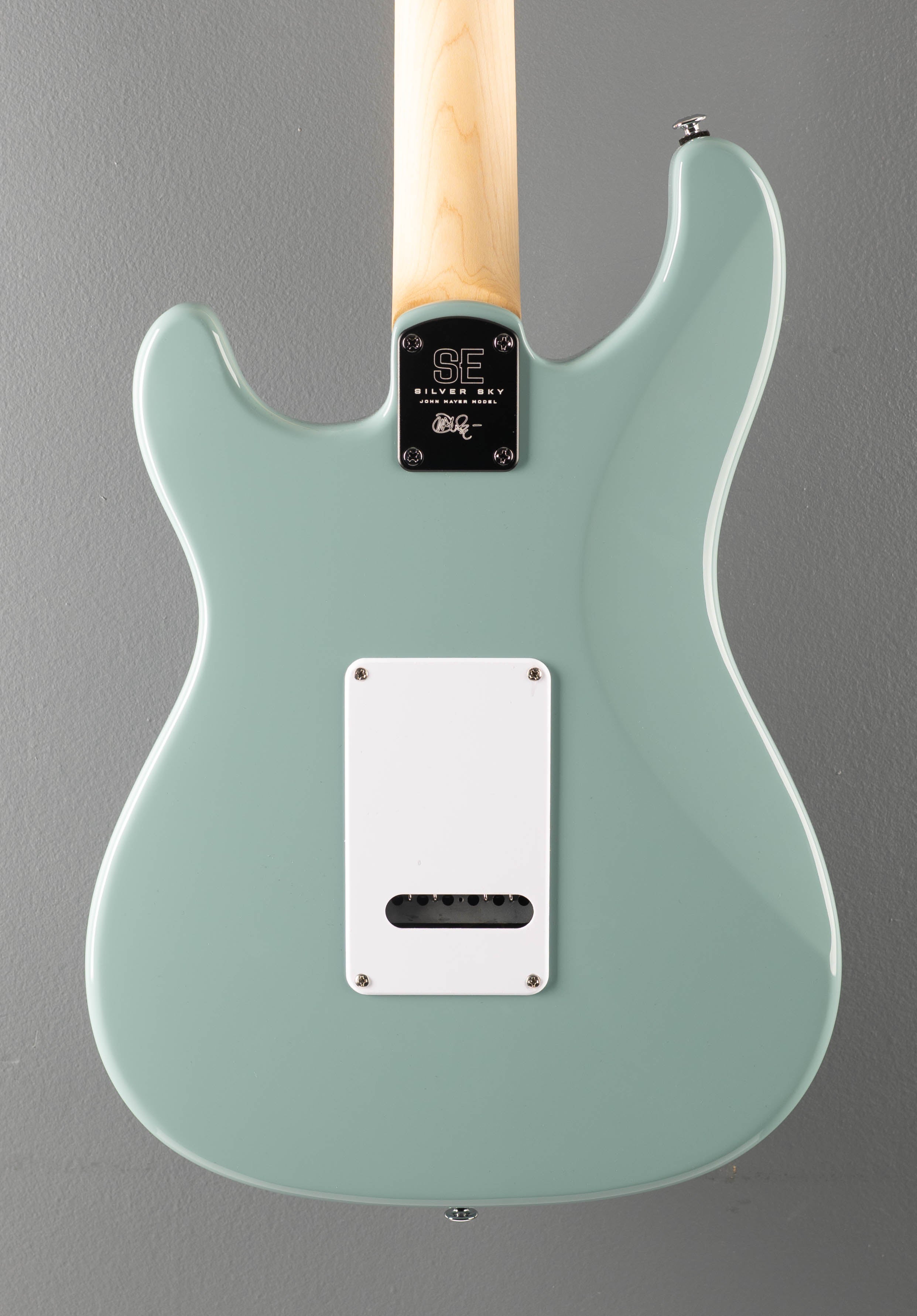 SILVER-ROSE / TWO-NIGHT  デモテープ Devi Ever Silver Rose Fuzz Pedal | CME Gear Demo - YouTube