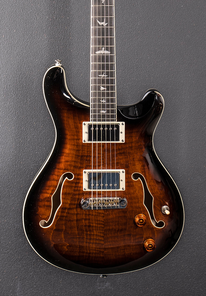 SE Hollowbody II &