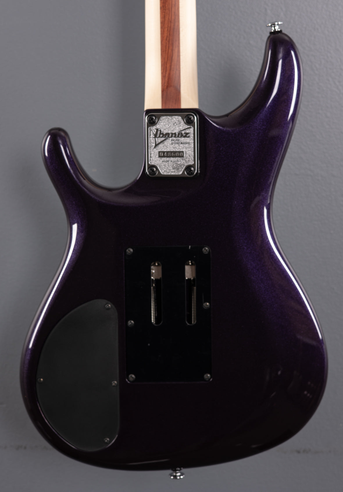 Joe Satriani JS2450 Muscle Car Purple