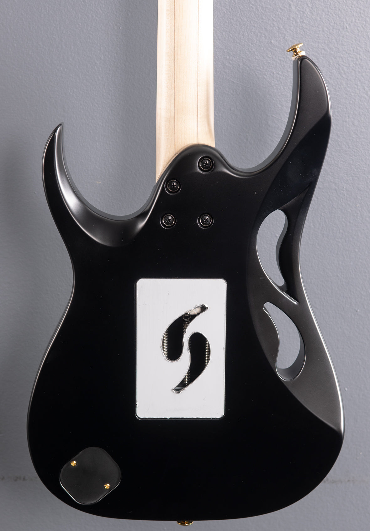 Steve Vai PIA3761 - Onyx Black