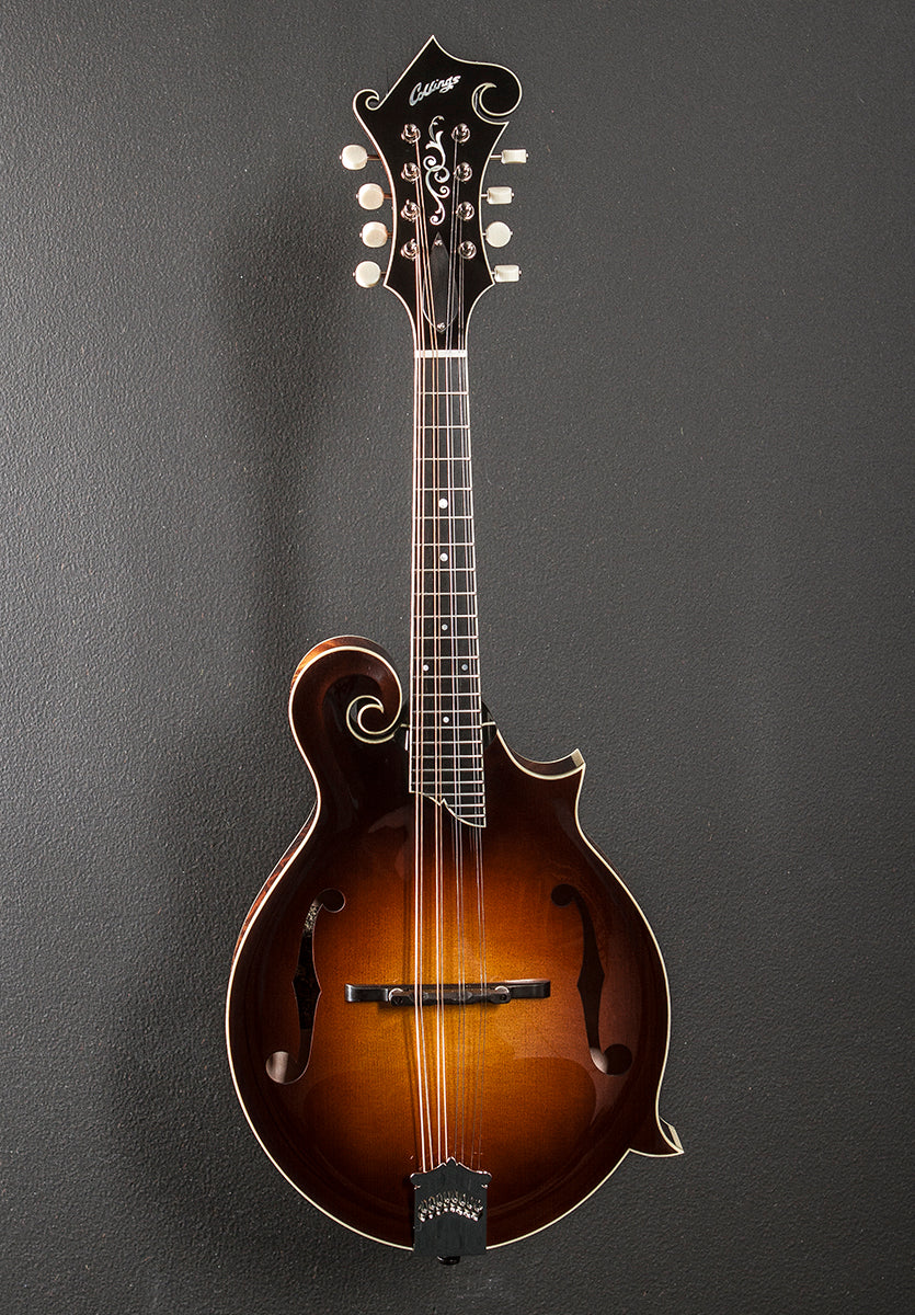 MF5 Mandolin