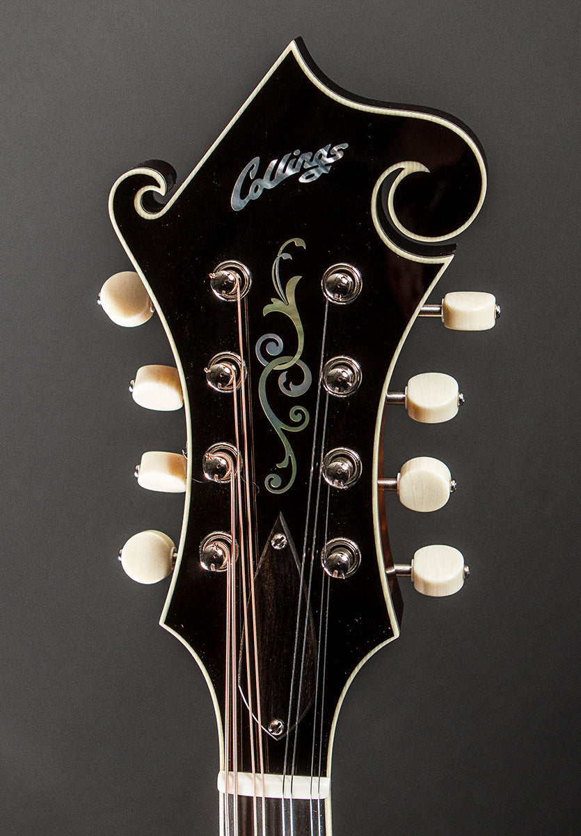 MF5 Mandolin