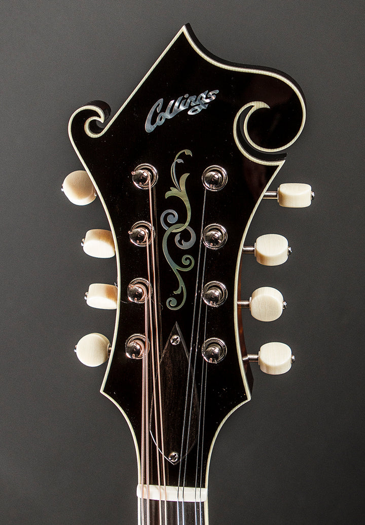 MF5 Mandolin