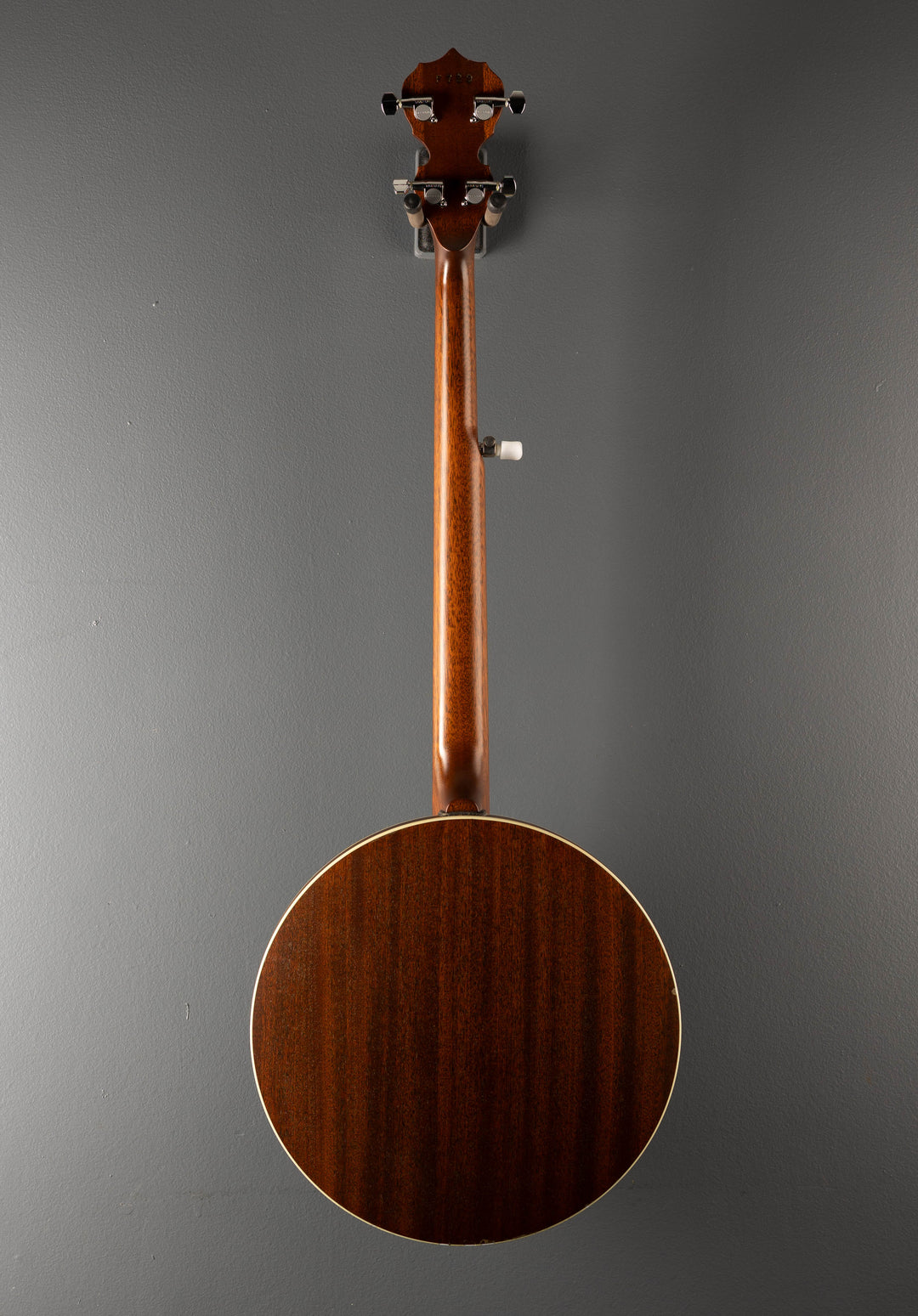 Boston 5 String Banjo, Recent