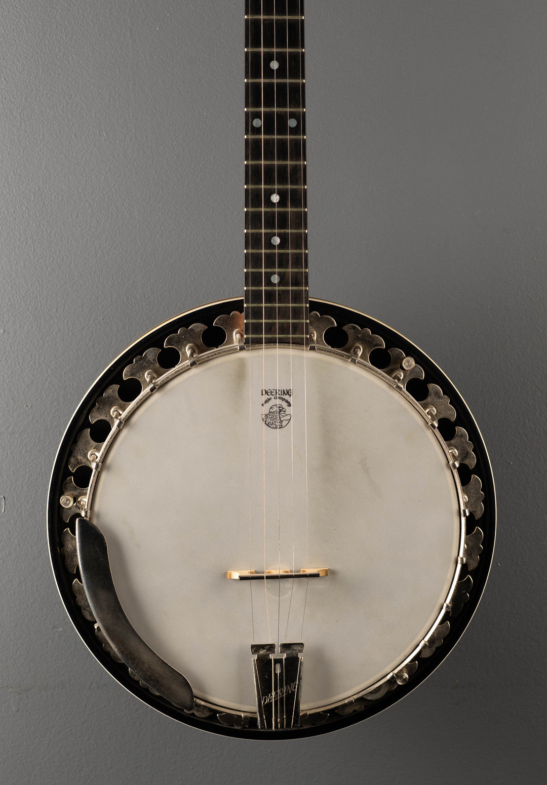 Boston 5 String Banjo, Recent