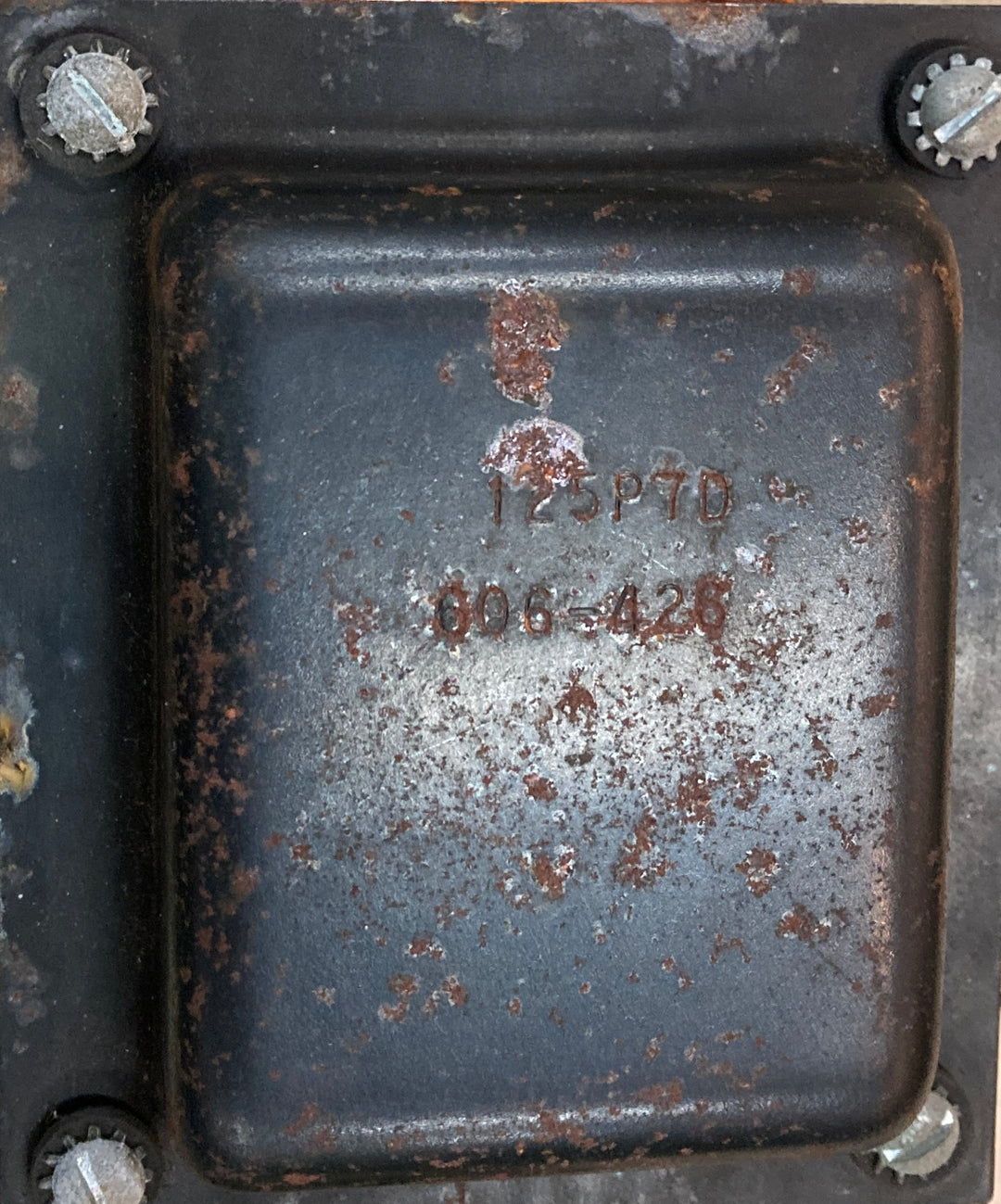 Used Concert-Amp, &