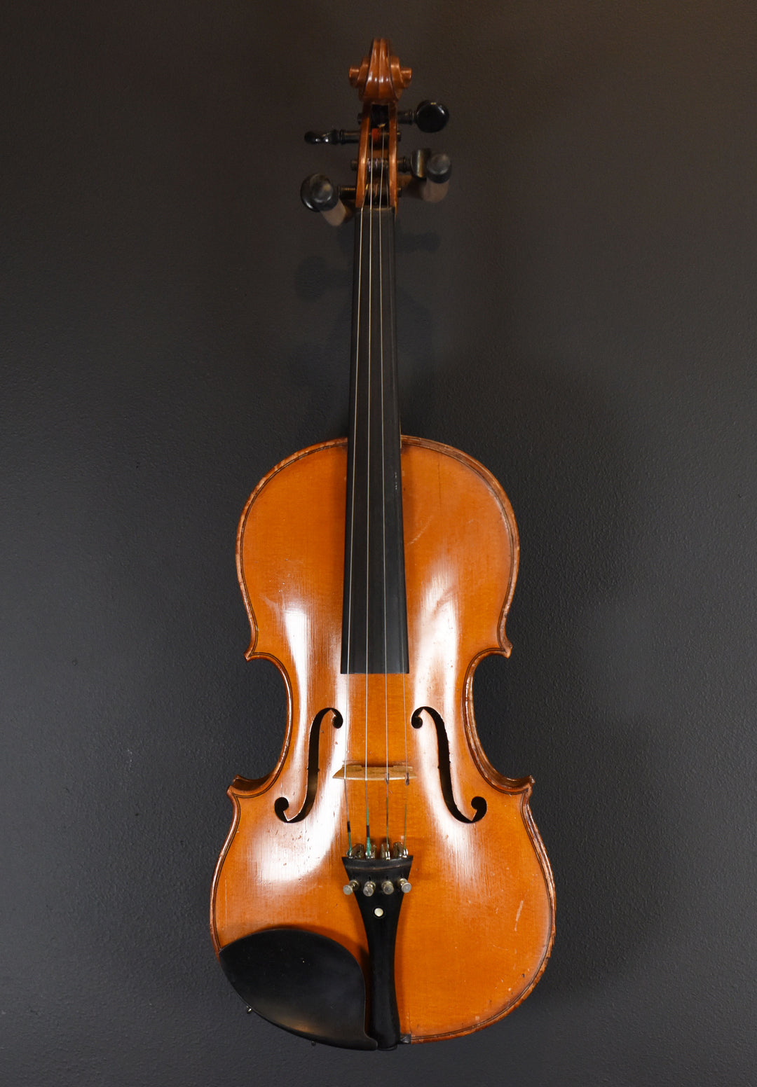Full-Size Violin, Recent