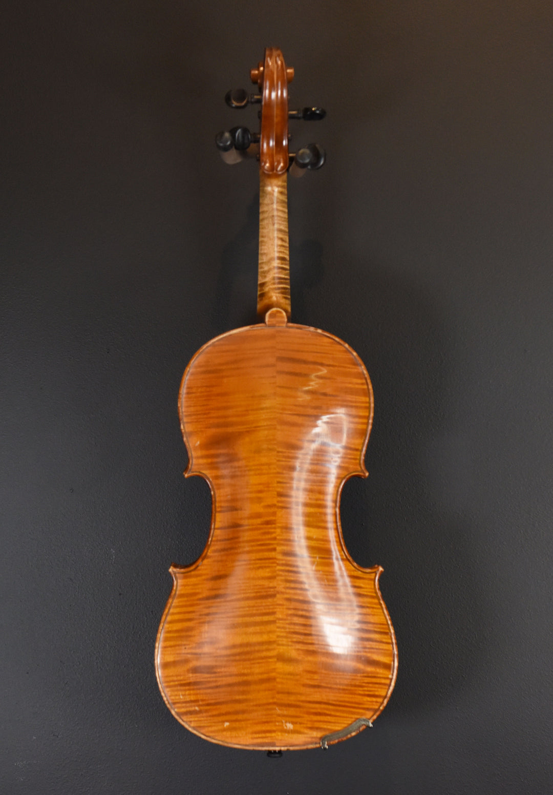 Full-Size Violin, Recent