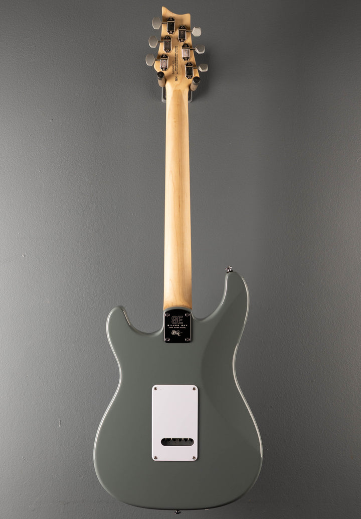SE Silver Sky w/Rosewood '24