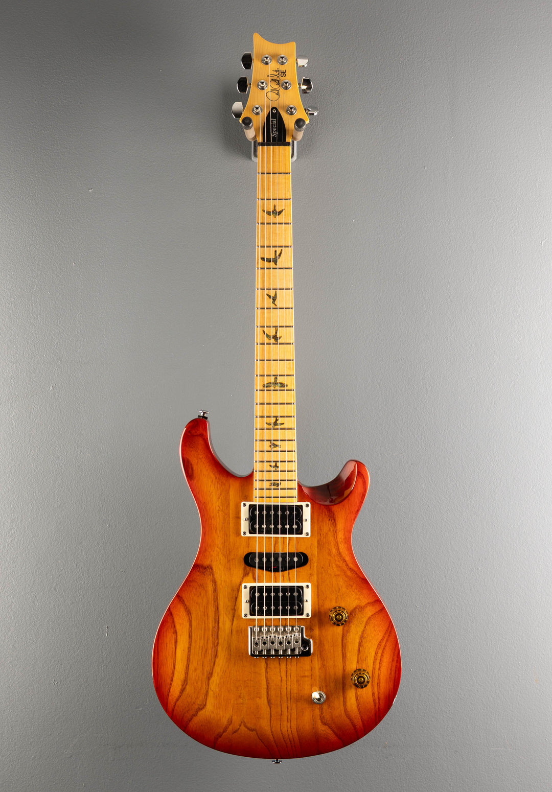 SE Swamp Ash Special '24