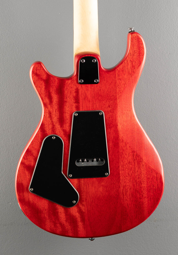 SE CE-24 Standard Satin '24