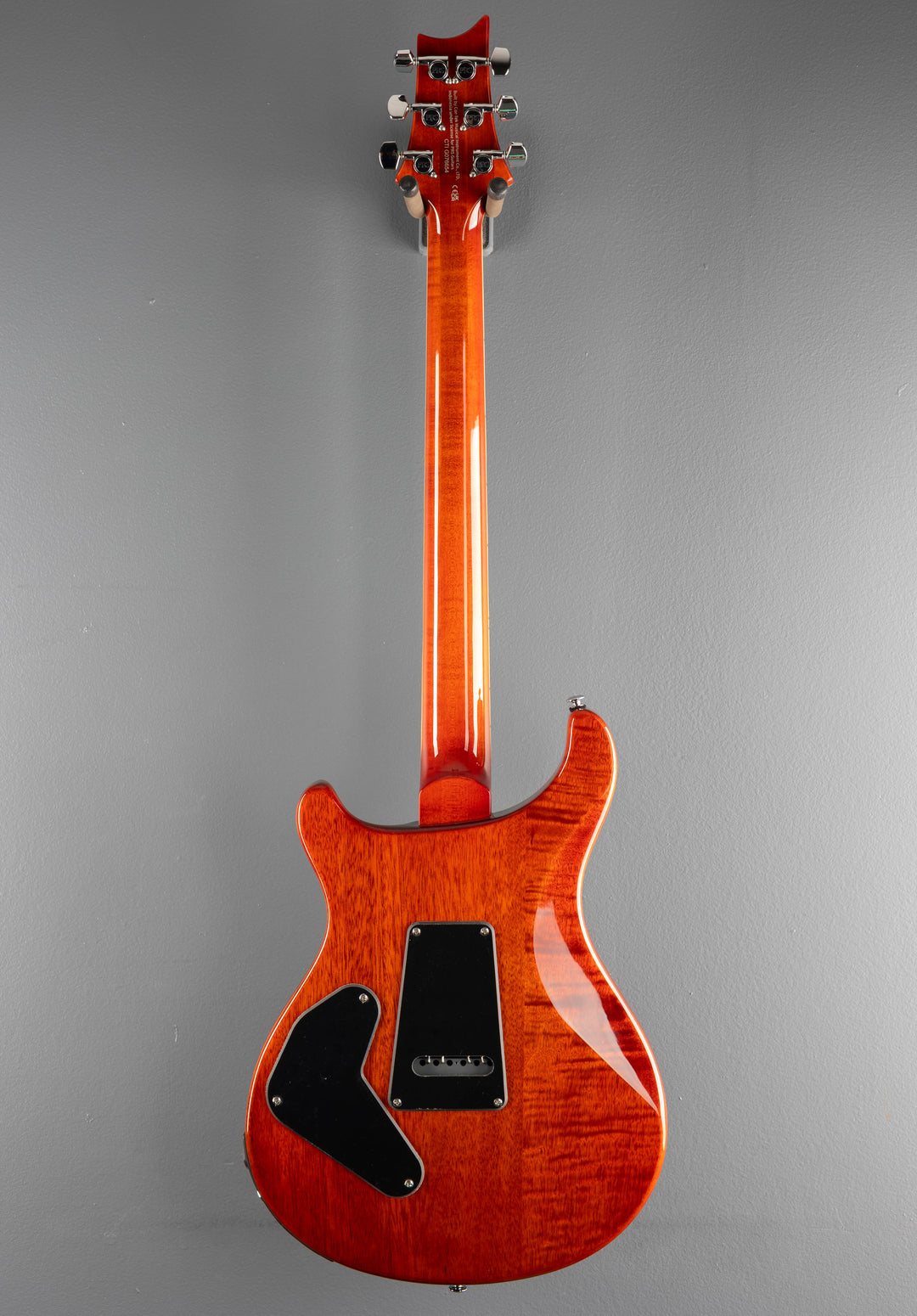 SE Custom 24 Semi Hollow Piezo &